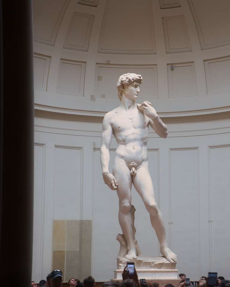 Das Highlight in Florenz - Michelangelos David.